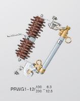 PRWG1-12/100A\200A户外交流高压跌落式熔断器